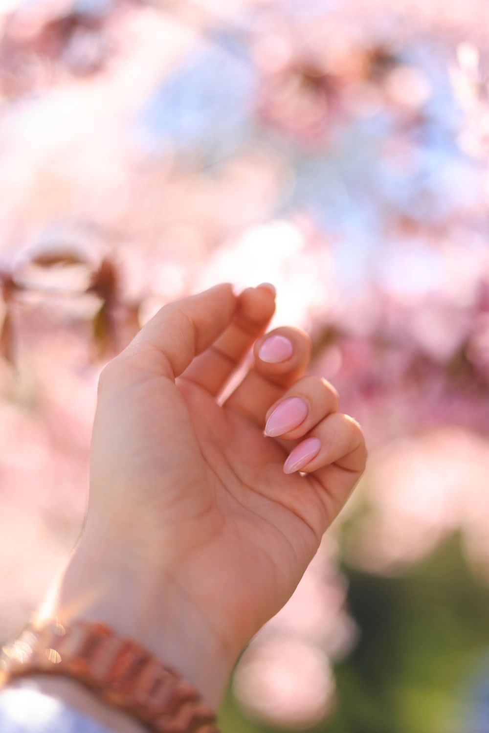 Cherry Charm